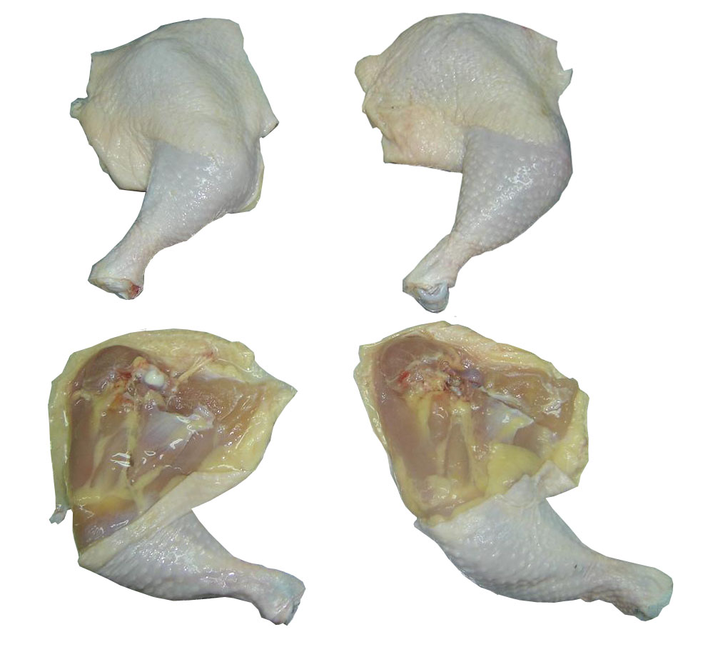 Frozen Chicken Leg